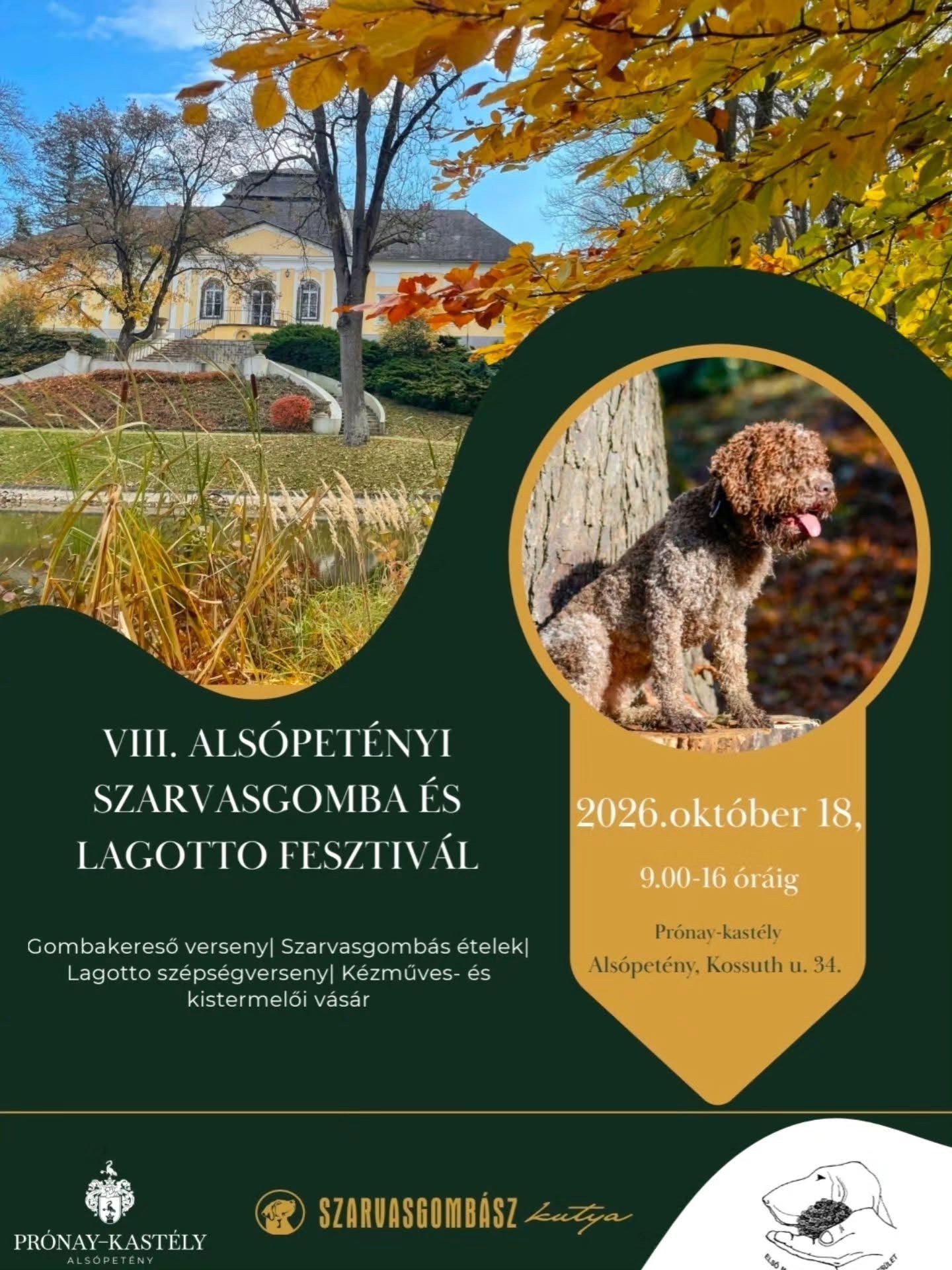 A VIII. Alsópetényi Szarvasgomba és Lagotto Fesztivál plakátja